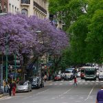 Estaciones del año en Buenos Aires